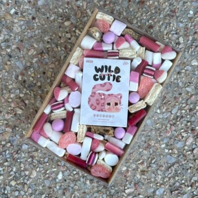 Wild at Heart - Wild But Cutie Blind Box